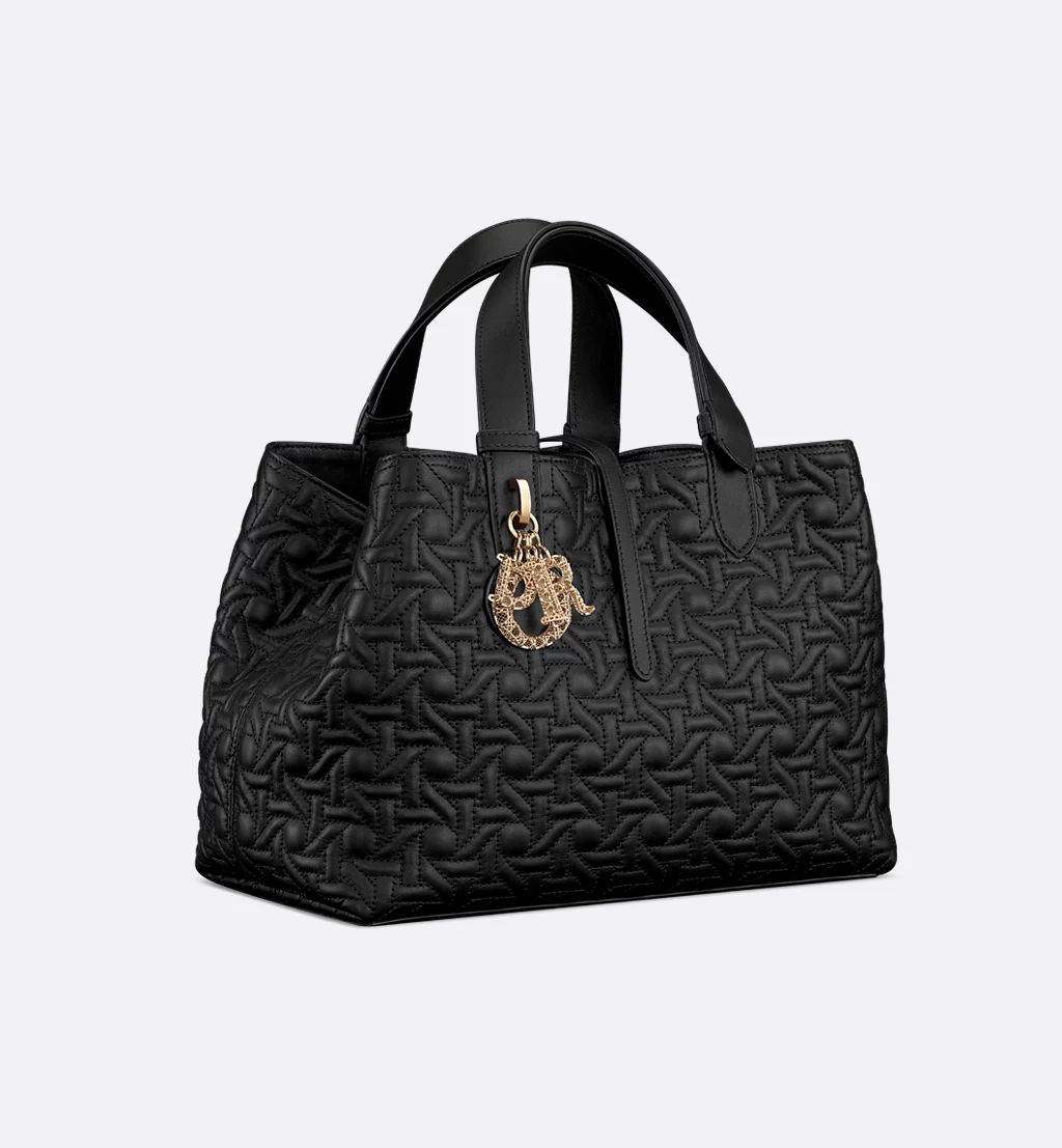 Christian Dior Bags
