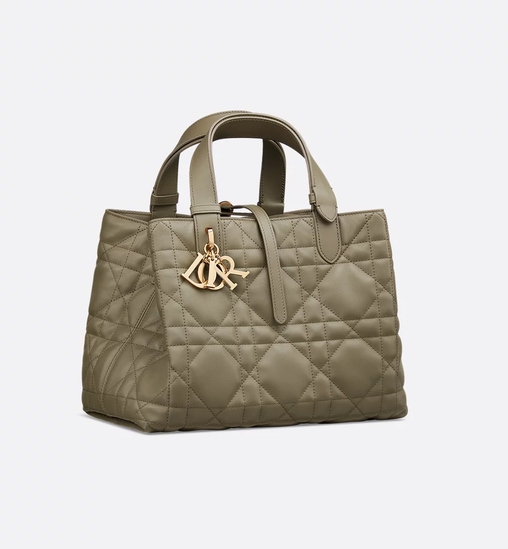 Christian Dior Bags