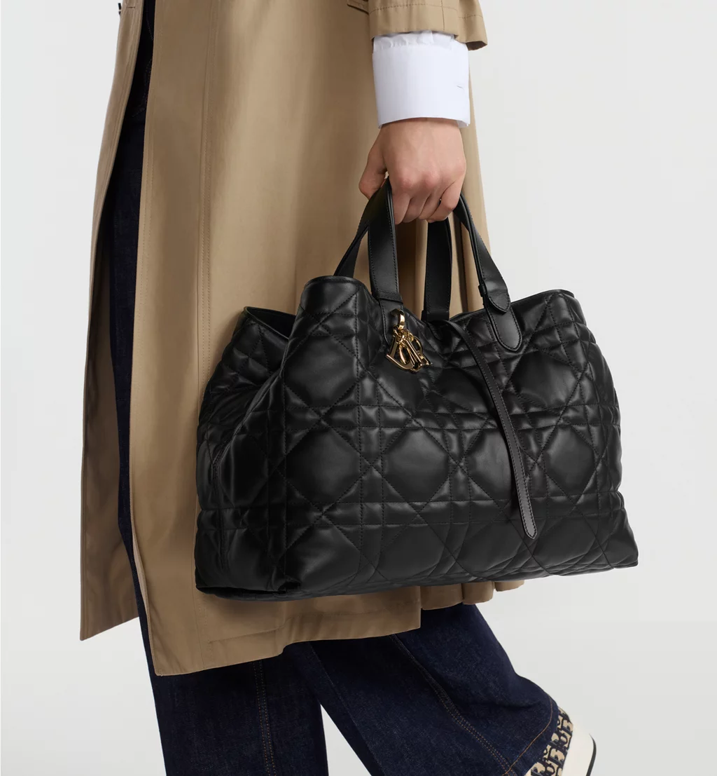 Christian Dior Bags