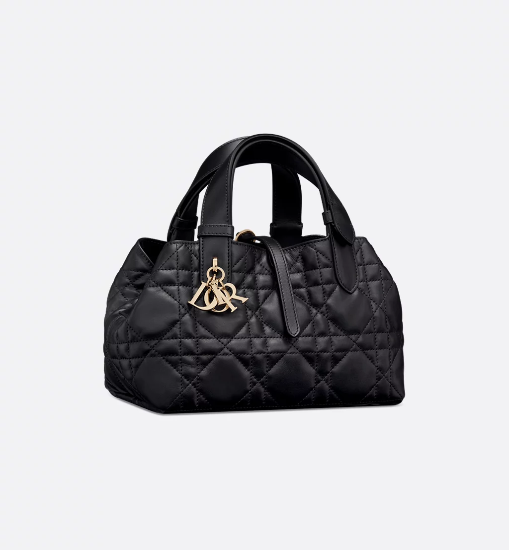 Christian Dior Bags