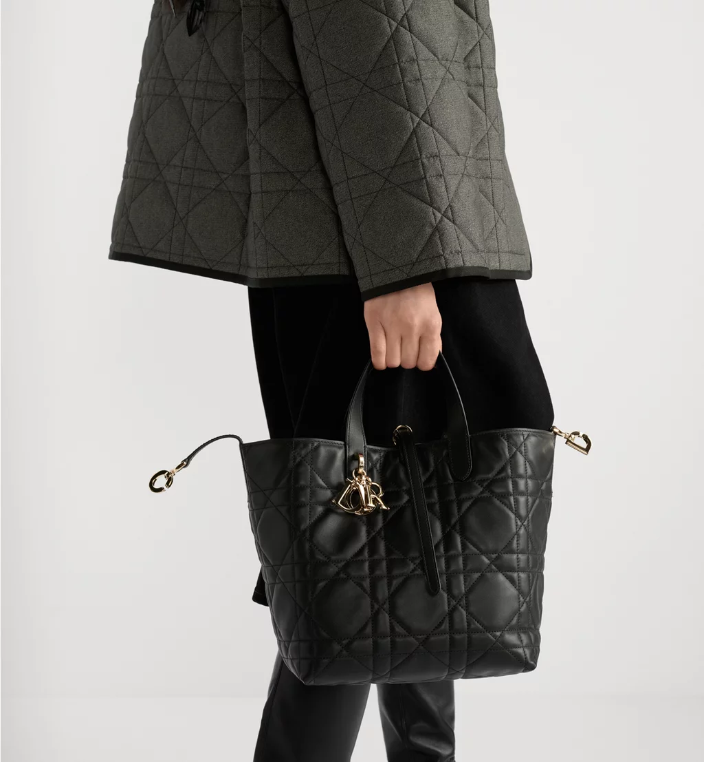 Christian Dior Bags